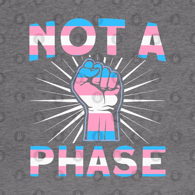 LGBT Pride Month Not a phase Trans Gay Pride by Toeffishirts